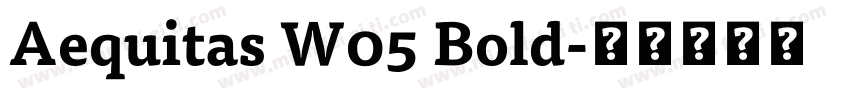 Aequitas W05 Bold字体转换